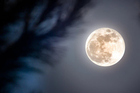 Entgiften und Entschlacken mit dem Mond - SonnenMoor