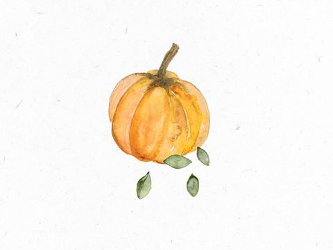 Kuerbiskerne_Illustration