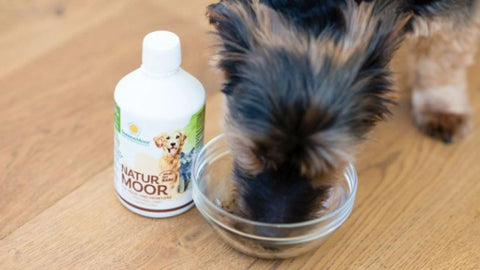 Naturmoor für Haus- und Heimtiere 500 ml SonnenMoor