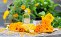 Ringelblumencreme 90 g SonnenMoor