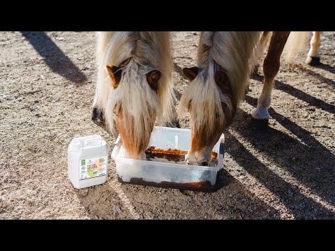 Naturmoor für Tiere 18 l