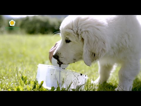 Naturmoor für Haus- und Heimtiere 500 ml